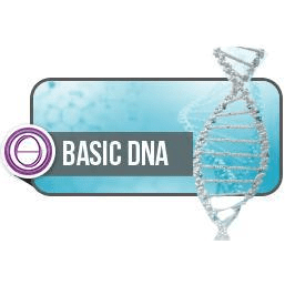 ThetaHealing DNA Base | Online